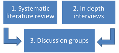 PPI Diagram